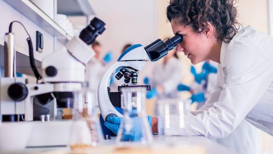 Chromatografia bez kompromisów: gdzie szukać naprawdę solidnego sprzętu?