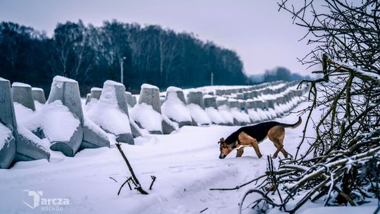 Od zaplecza po pas graniczny. Tarcza Wschód w fazie realizacji Od zaplecza po pas graniczny. Tarcza Wschód w fazie realizacji