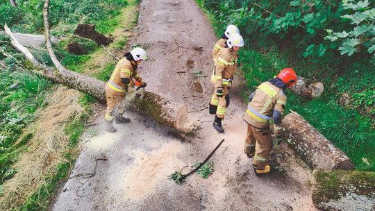 Powalone drzewa, zerwane linie i uszkodzony dach. Intensywna doba lidzbarskich strażaków
