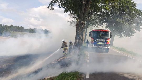 Pożar ścierniska i zboża w gminie Reszel. Jedna osoba ranna