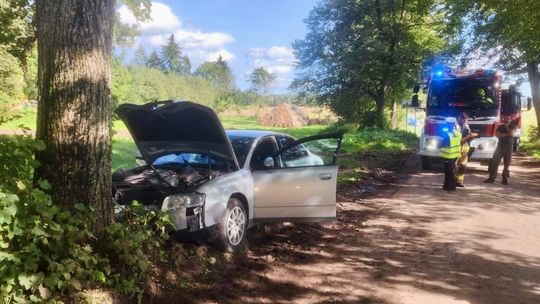 Surwile: Audi na drzewie, kierująca w szoku, ale bez poważnych obrażeń