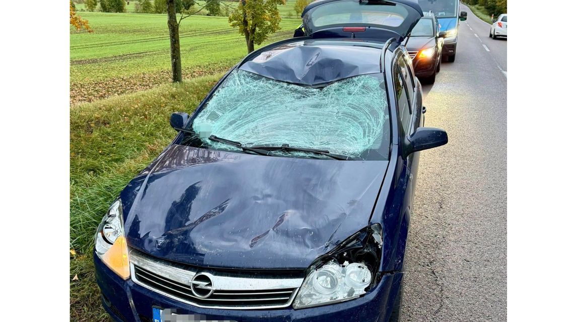 Łoś nagle pojawił się na jezdni. Poranna kolizja na trasie Kętrzyn – Bartoszyce Łoś nagle pojawił się na jezdni. Poranna kolizja na trasie Kętrzyn – Bartoszyce
