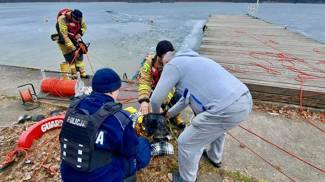 Pies wpadł pod lód. Dramatyczna akcja na jeziorze w Olecku