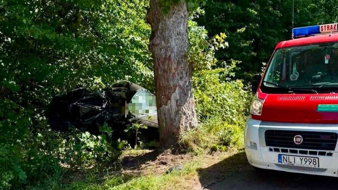 Śmiertelny wypadek na drodze w gminie Orneta. Kierowca Audi uderzył w drzewo Śmiertelny wypadek na drodze w gminie Orneta. Kierowca Audi uderzył w drzewo