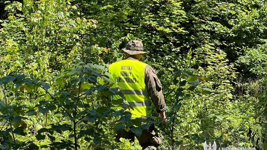 Szkolenie żołnierzy WOT – poszukiwanie zaginionych