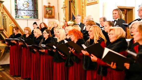 Festiwal Muzyki Organowej i Kameralnej