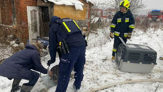 Po pożarze w Tromitach