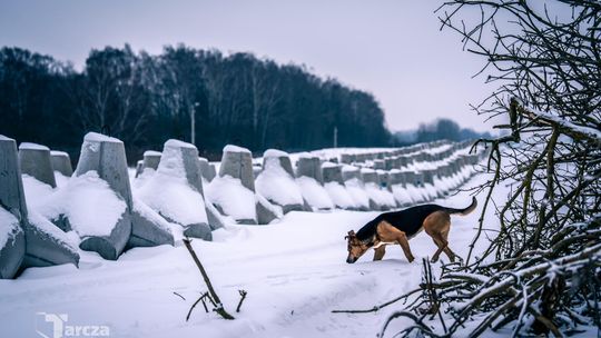 Tarcza Wschód, styczeń 2026