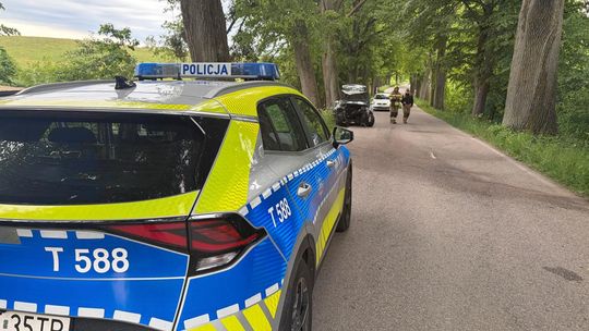 Uderzył w drzewo